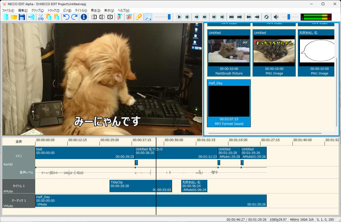 NECCOEDIT SS1.png